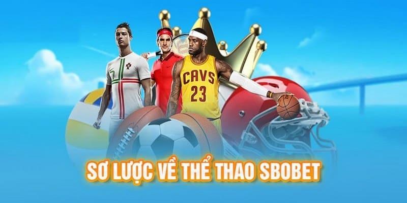 Thông tin cơ bản về sảnh thể thao SBO tại OK9