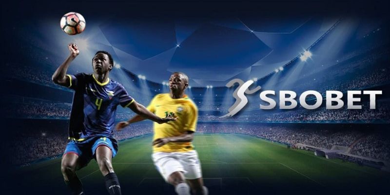 Top nhà cái thể thao - sảnh cược SBOBET thú vị